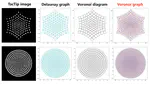 Tac-VGNN: A Voronoi Graph Neural Network for Pose-Based Tactile Servoing